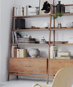 Loa Bookshelf Active Dali Oberon 1C