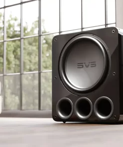 Loa SVS PB17-Ultra R|Evolution