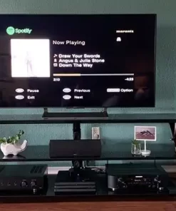 Loa SVS Prime Satellite