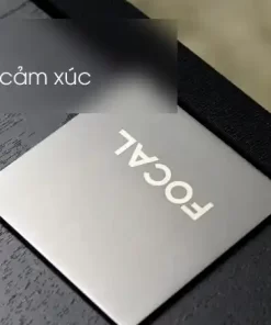 loa focal chorus 615 2