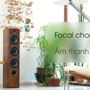 Loa Focal Chorus 726
