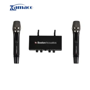Micro Boston Acoustics WMS210