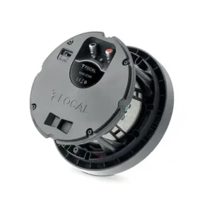 Loa Focal 1000 ICW6