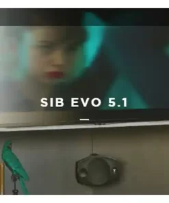 Loa Focal Sib Evo 5.1