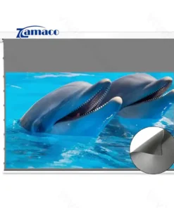 Màn chiếu âm trần quang học VIVIDSTORM VPCLALR150H 150 inch – Chiếu xa