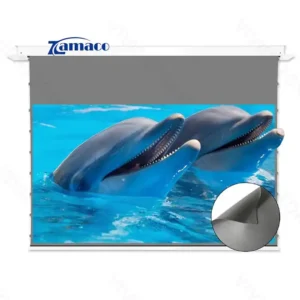 Màn chiếu âm trần quang học VIVIDSTORM VPCLALR150H 150 inch – Chiếu xa