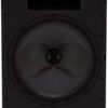 Loa karaoke Martin Audio CDD15