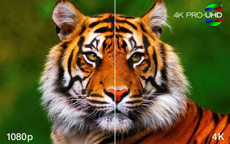 So sánh hình 1080p và 4K PRO-UHD trên Epson EH-LS970B