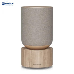 Loa Bang & Olufsen Beosound Balance