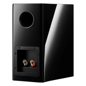 Loa bookshelf Dynaudio Evoke 10 màu Đen bóng – ảnh 4