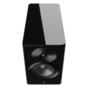 Loa bookshelf không dây Dynaudio Focus 10 màu Đen bóng – ảnh 3