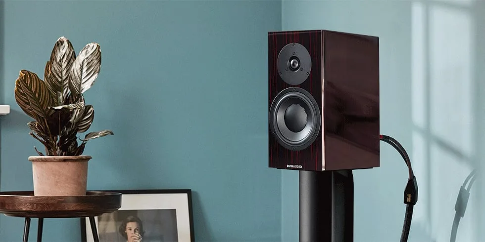 Dynaudio Special Forty trong không gian thực tế