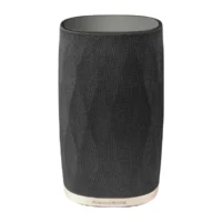 Loa không dây Bowers & Wilkins Formation Flex – Formation Suite