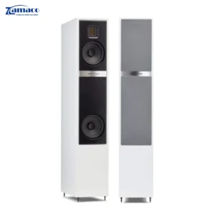 Loa MartinLogan Motion 20i