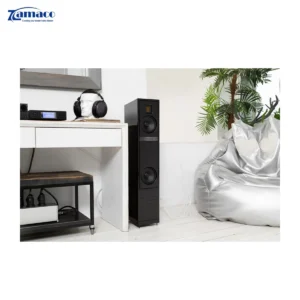 Loa MartinLogan Motion 20i