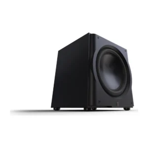 Loa sub Perlisten R15s – Subwoofer 15 inch 1.000 W – ảnh 2