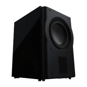 Loa sub Perlisten R210s – Subwoofer 2 × 10 inch 1.300 W, chuẩn THX