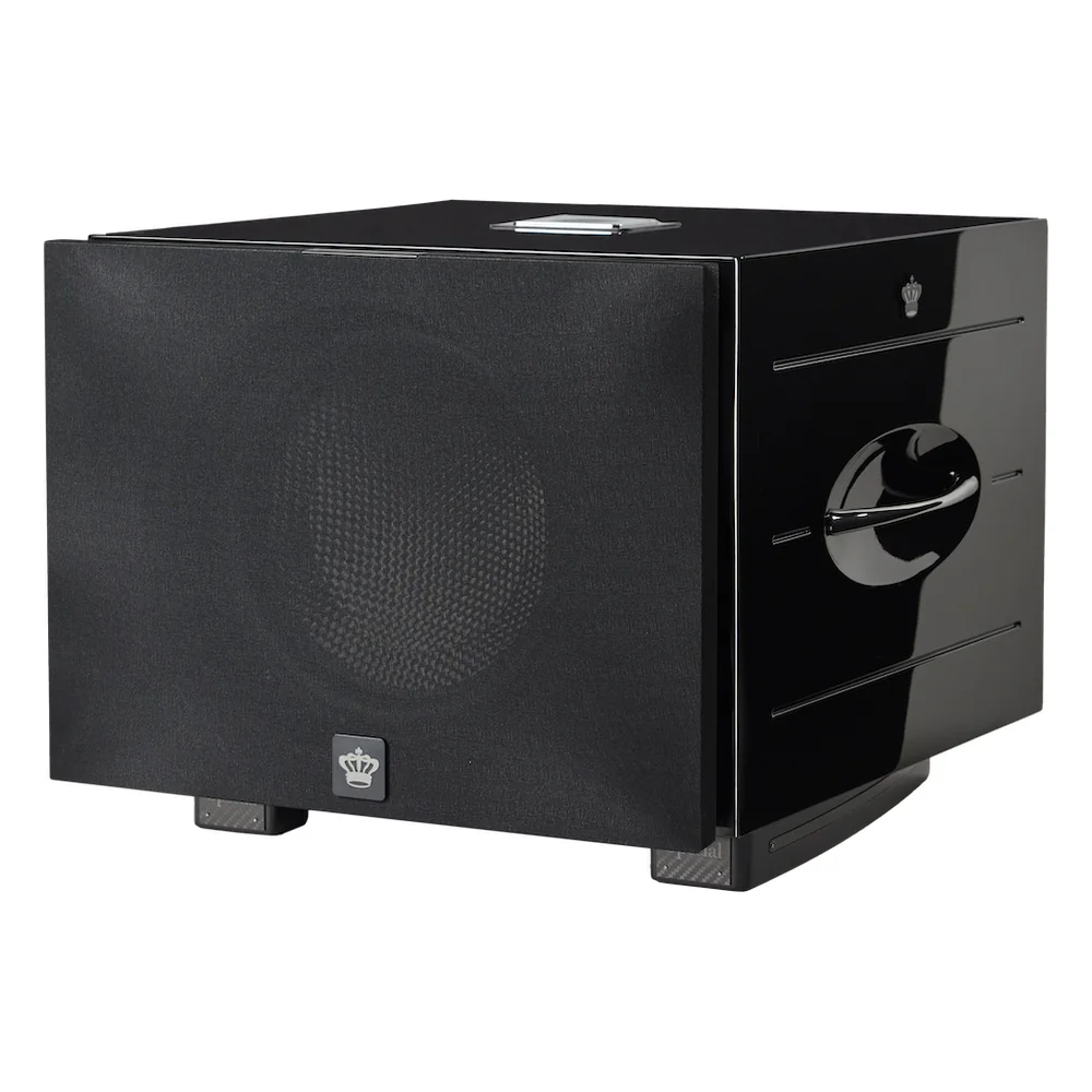 Loa sub REL Carbon Special Black Label – ảnh 2