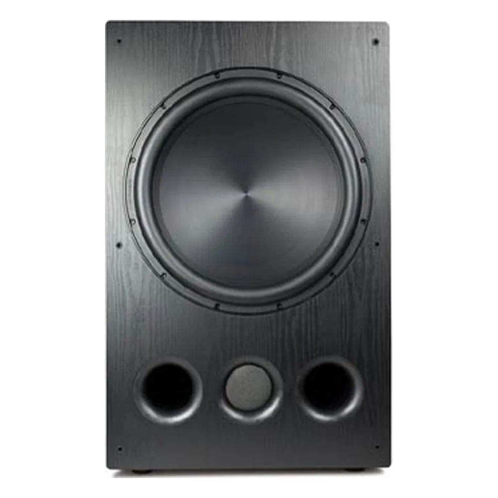 Loa sub Rythmik Audio FV18 – ảnh 2