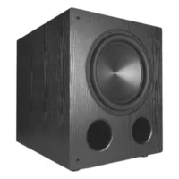 Loa sub Rythmik Audio FVX12 – Subwoofer 12 inch 400 W