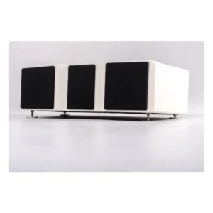 Loa center Wilson Audio WASAE Center