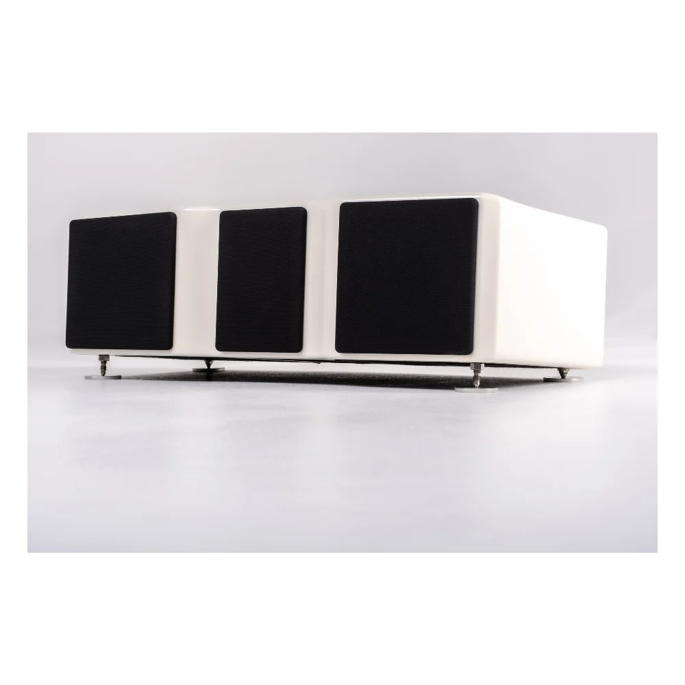 Loa center Wilson Audio WASAE Center