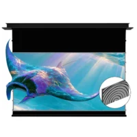 Màn chiếu âm trần VIVIDSTORM PHANTOM SilicaFlex Fresnel ALR cho máy chiếu xa (VPCFNLT)