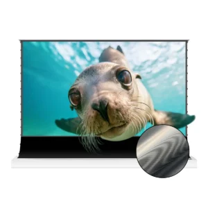 Màn chiếu để sàn UST VIVIDSTORM S PRO ALR – vỏ trắng bóng