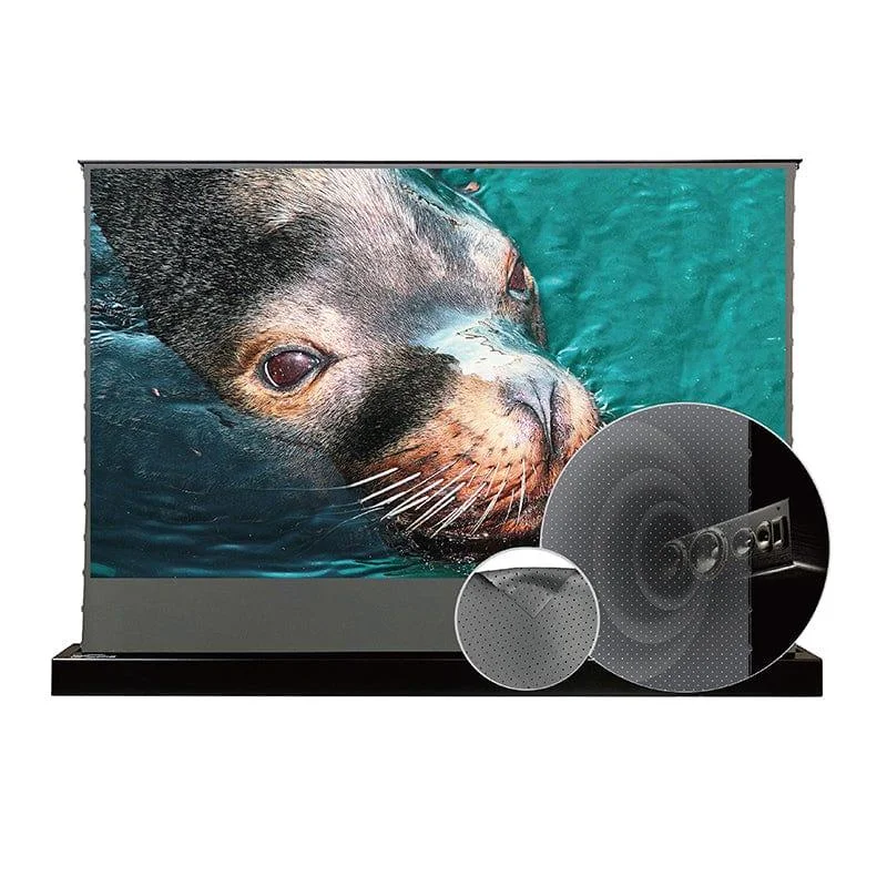Màn chiếu điện để sàn VIVIDSTORM S ALR P – ảnh sản phẩm