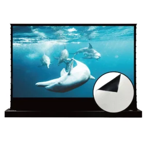 Màn chiếu điện để sàn VIVIDSTORM S White Cinema – ảnh sản phẩm