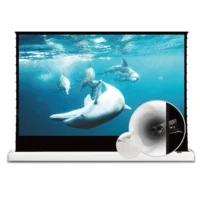 Màn chiếu điện để sàn VIVIDSTORM S White Cinema P vải trắng đục lỗ xuyên âm (VSDSTPW)