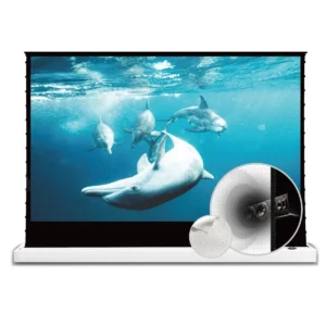 Màn chiếu điện để sàn VIVIDSTORM S White Cinema P – ảnh sản phẩm
