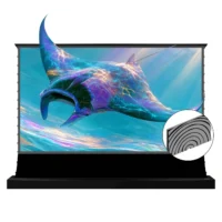 Màn chiếu điện để sàn VIVIDSTORM SilicaFlex Fresnel ALR cho máy chiếu xa (VSDSFNLT)