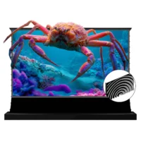 Màn chiếu điện để sàn VIVIDSTORM Silux Pro Fresnel ALR cho máy chiếu siêu gần (VSDSFNUT)