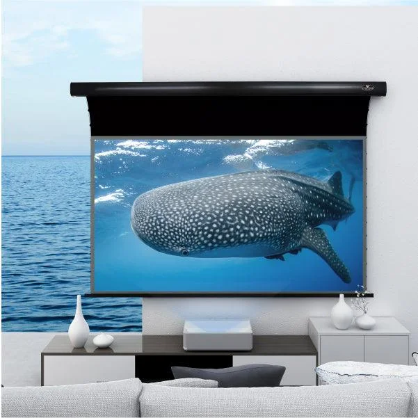 Màn chiếu điện UST VIVIDSTORM PRO Slimline ALR – phòng khách nhìn ra biển