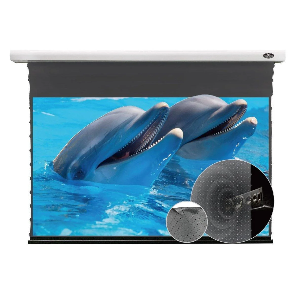 Màn chiếu điện căng tab VIVIDSTORM ALR P Slimline – ảnh sản phẩm