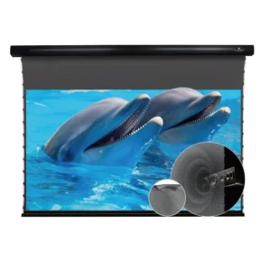 Màn chiếu điện căng tab VIVIDSTORM ALR P Slimline – vỏ trắng