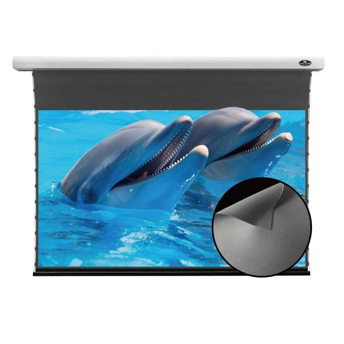 Màn chiếu điện căng tab VIVIDSTORM ALR Slimline – vỏ trắng