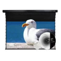 Màn chiếu điện căng tab VIVIDSTORM White Cinema P Slimline vải trắng đục lỗ xuyên âm (VMSLPW)