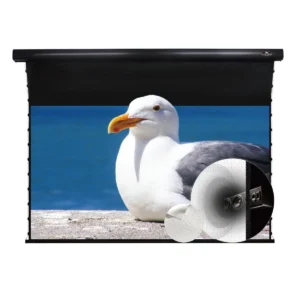 Màn chiếu điện căng tab VIVIDSTORM White Cinema P Slimline – ảnh sản phẩm