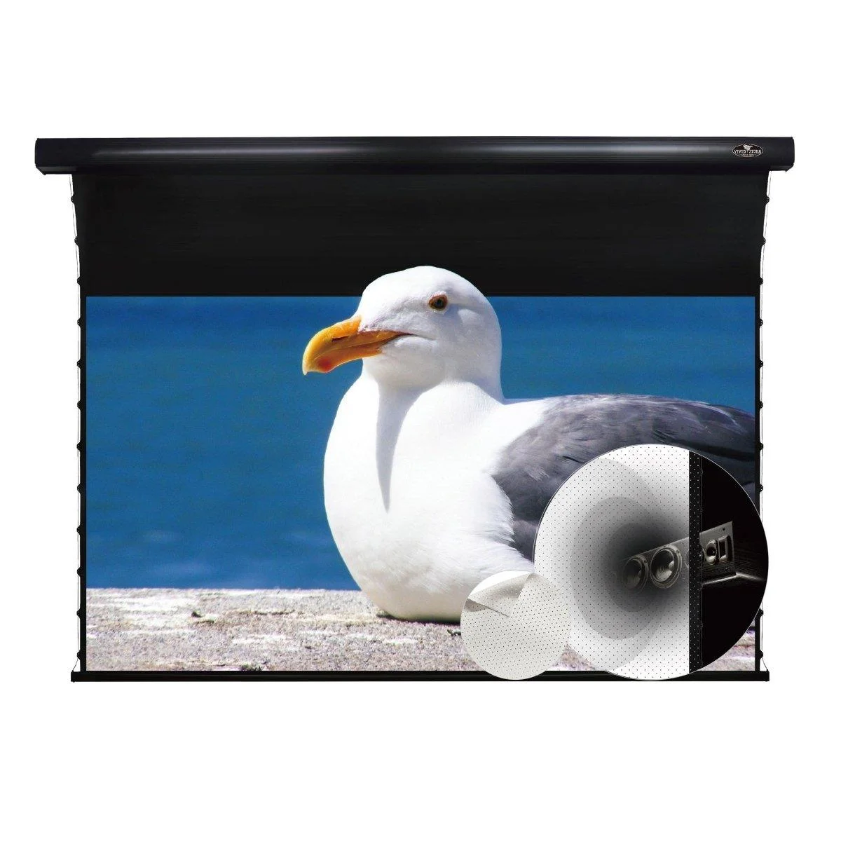 Màn chiếu điện căng tab VIVIDSTORM White Cinema P Slimline – ảnh sản phẩm