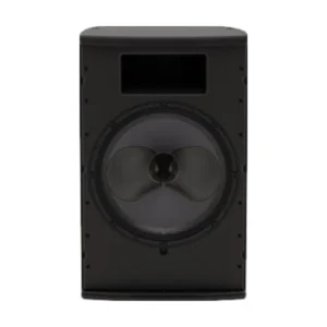 Martin Audio CDD15 khi tháo lưới