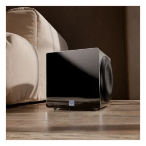 Loa sub SVS 3000 Micro R|Evolution – ảnh 5