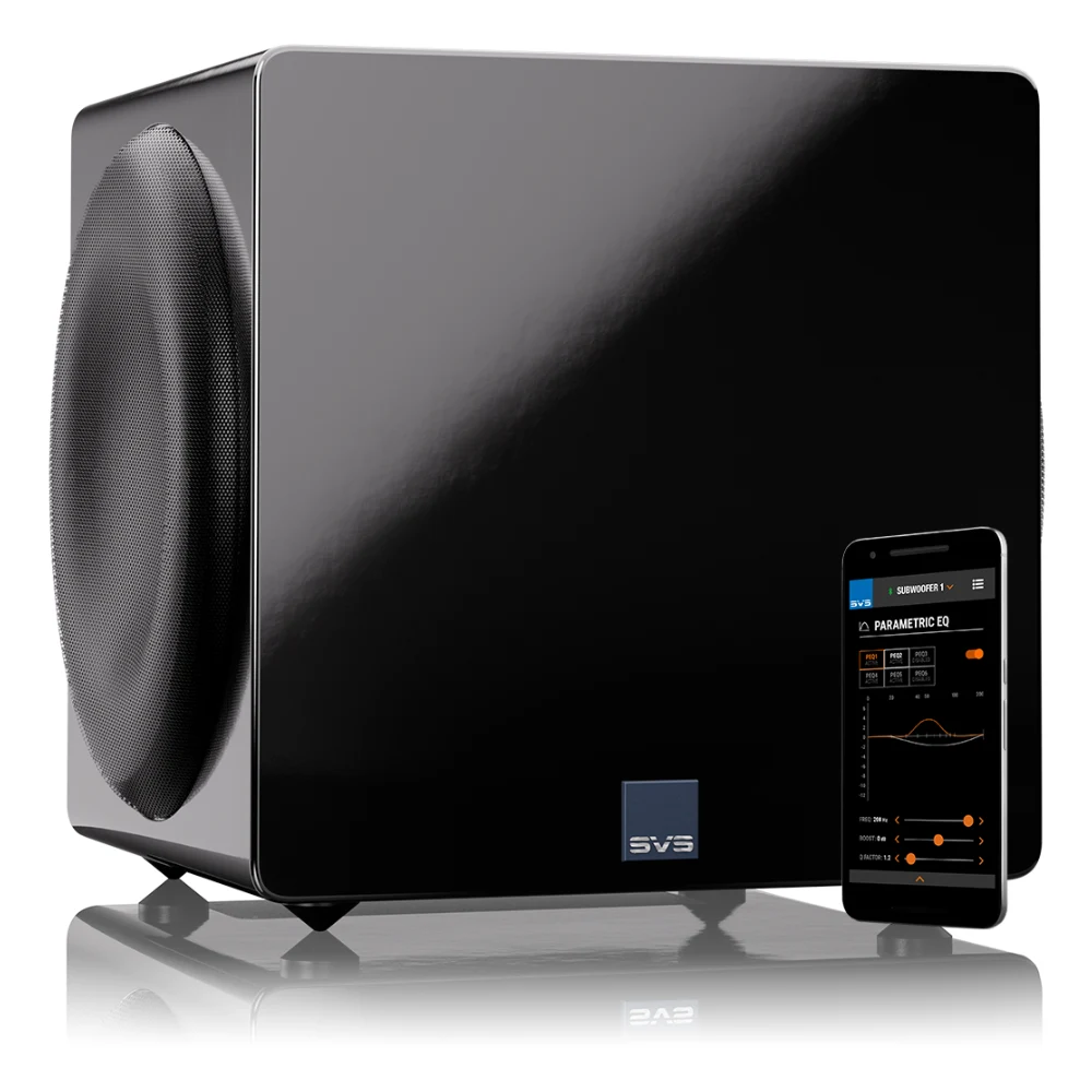 Loa sub SVS 3000 Micro R|Evolution