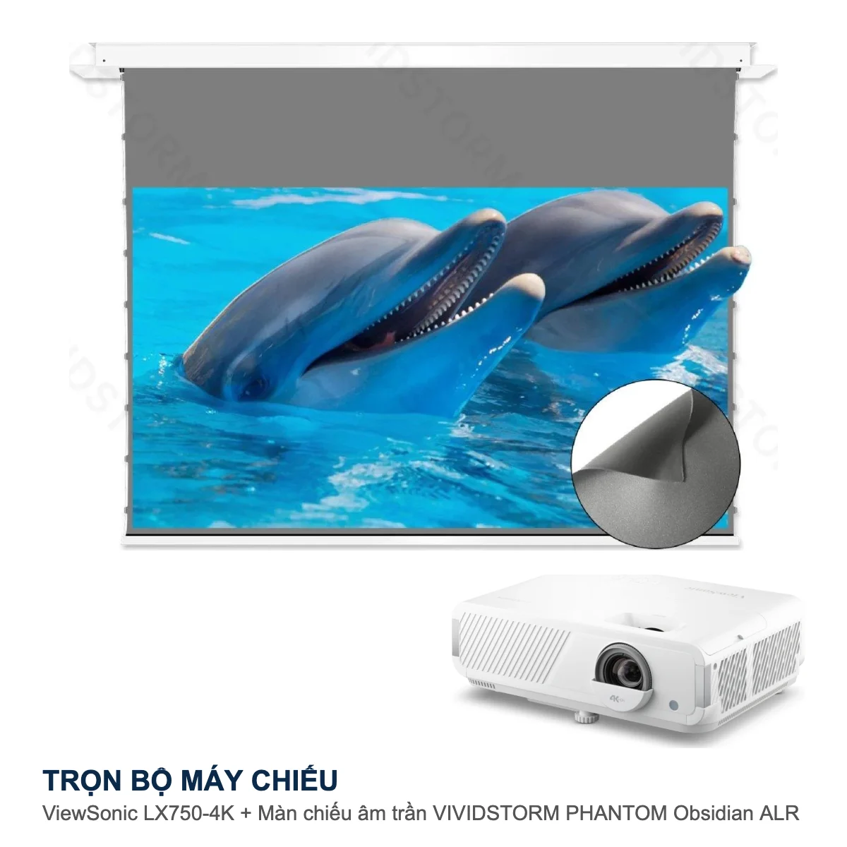 Trọn bộ máy chiếu ViewSonic LX750-4K + màn chiếu âm trần VIVIDSTORM PHANTOM Obsidian ALR