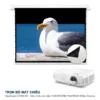 Trọn bộ máy chiếu ViewSonic LX750-4K + màn chiếu âm trần VIVIDSTORM PHANTOM White Cinema