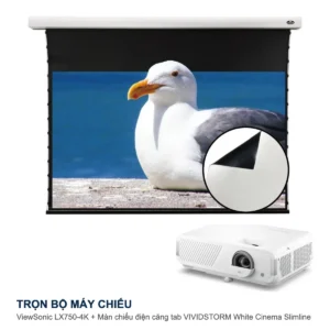 Trọn bộ máy chiếu ViewSonic LX750-4K + màn chiếu điện VIVIDSTORM White Cinema Slimline