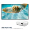 Trọn bộ máy chiếu ViewSonic LX750-4K + màn chiếu khung VIVIDSTORM White Cinema
