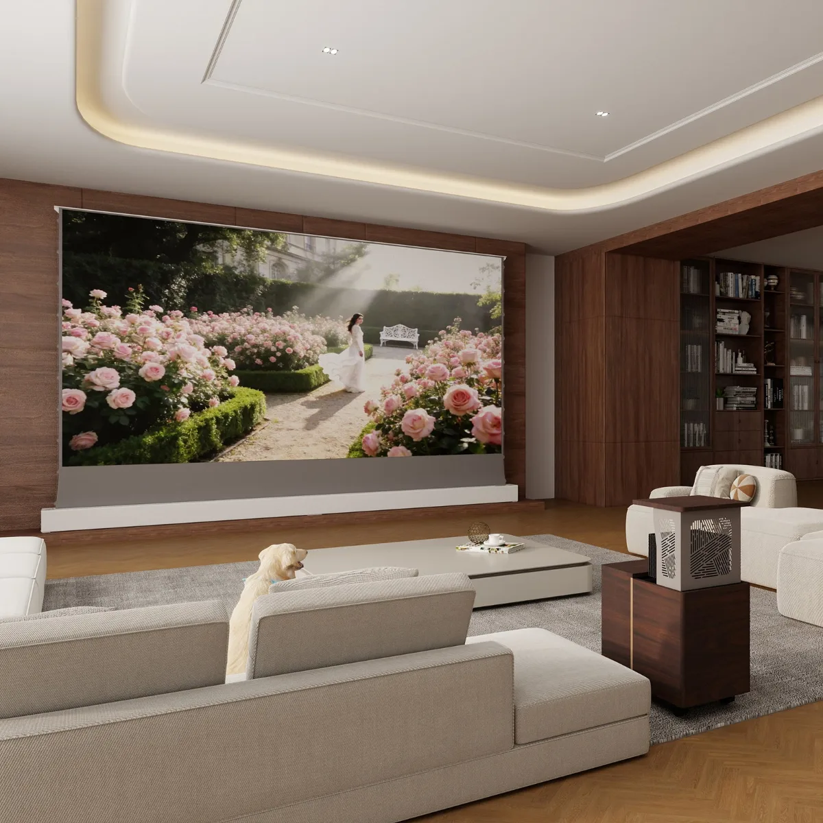 Tủ máy chiếu xa VIVIDSTORM Astra 5