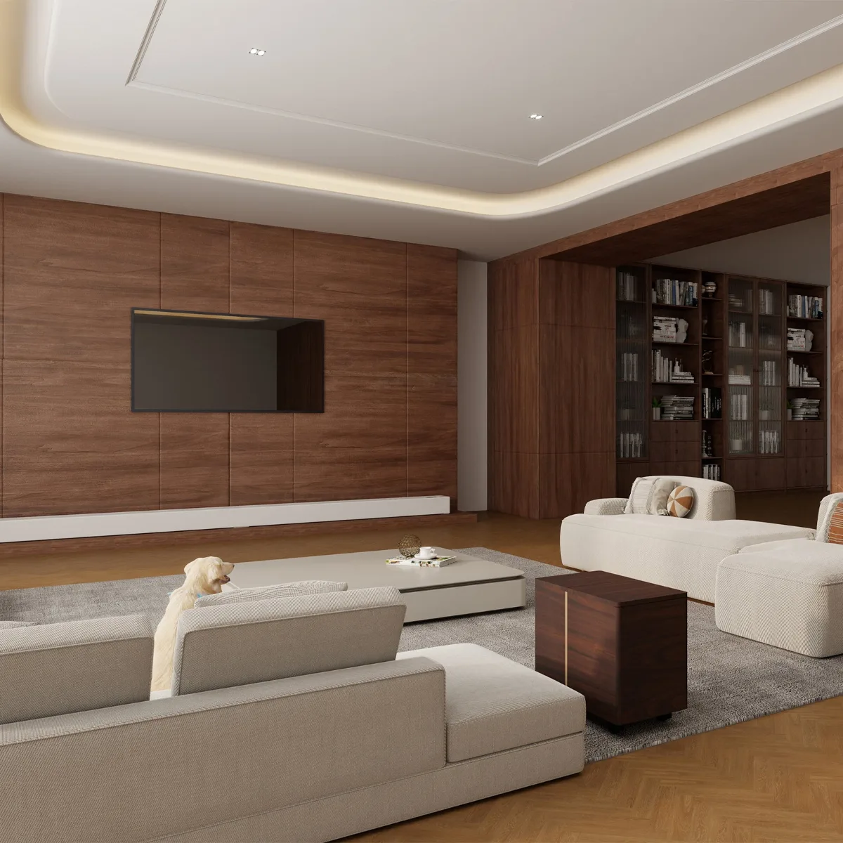 Tủ máy chiếu xa VIVIDSTORM Astra 6